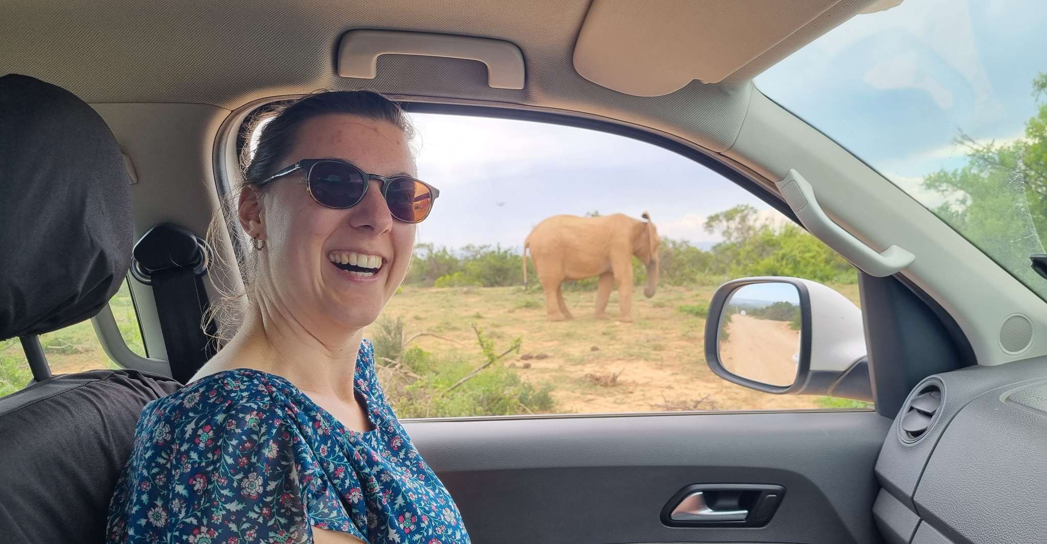 Addo Elephant Park y Jiraffe Walk Safari día completo privado - Hizvo