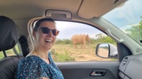 Addo Elephant Park y Jiraffe Walk Safari día completo privado - Hizvo