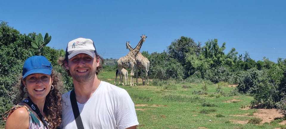 Addo Elephant Park y Jiraffe Walk Safari día completo privado - Hizvo