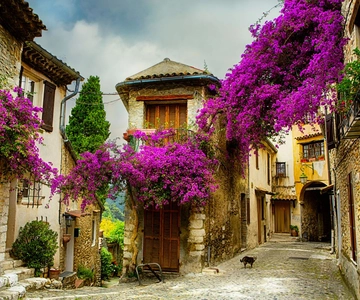 From Nice: Provence and its Medieval Villages Full-Day Tour