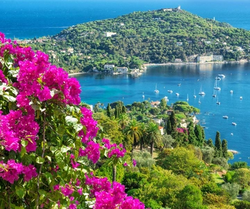 From Nice: French Riviera Full-Day Tour
