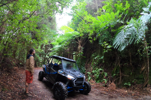 Funchal: Private Off-Road Buggy Tour with Guide &amp; Transfers