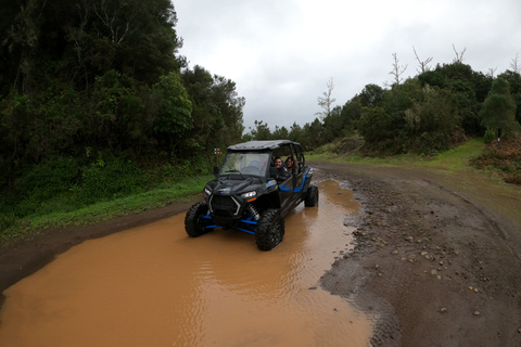 Circuit privé en buggy tout terrain à Madère