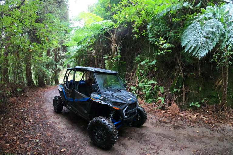 Madeira Private Buggy Off-Road Tour