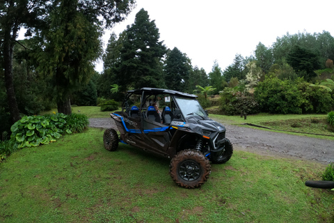 Funchal: Private Off-Road Buggy Tour with Guide &amp; Transfers