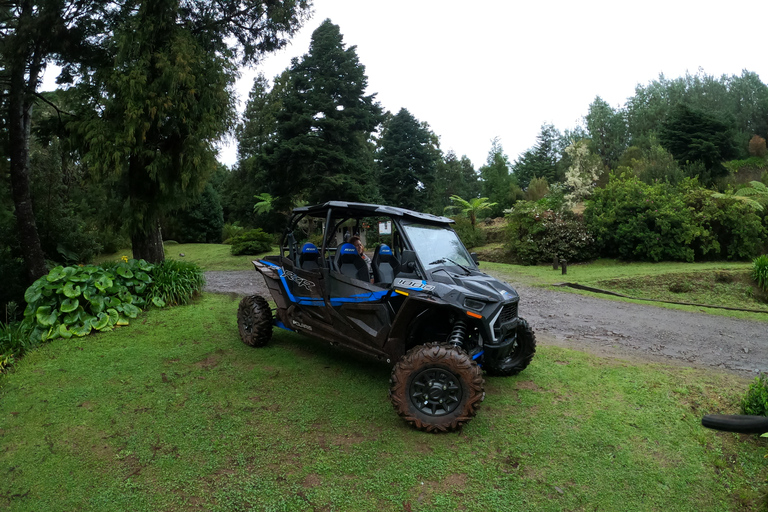 Circuit privé en buggy tout terrain à Madère