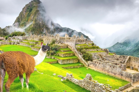 Privétour van een hele dag naar Machu Picchu vanuit Cusco