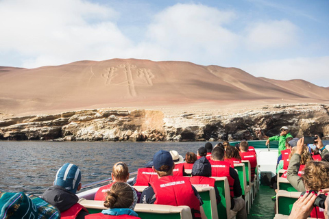 De Lima: 2 dias Paracas Ica Huacachina e vinhedos