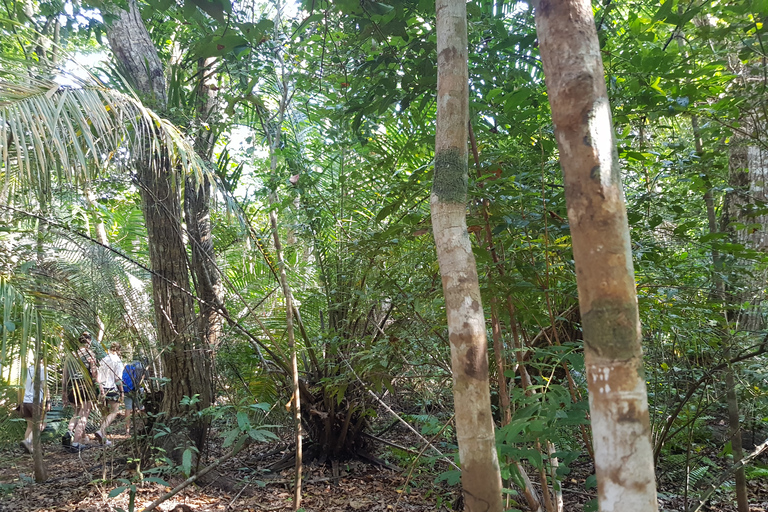 Jozani Forest chwaka bay Jozani Forest chaka bay