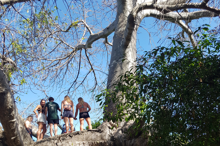 Azul SafariZanzibar: passeio de barco pela lagoa azul da ilha de Kwale