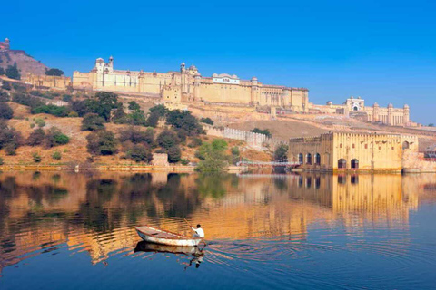 Jaipur: Tempio delle Scimmie, Forte d&#039;Ambra, Jal Mahal ecc. Tour in auto