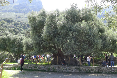 Agios Nikolaos: Selbstfahrer-Jeep-Tour mit Stopps & griechischem Essen