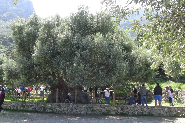 Agios Nikolaos: Selbstfahrer-Jeep-Tour mit Stopps & griechischem Essen