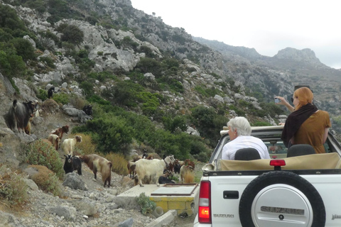 Agios Nikolaos: Selbstfahrer-Jeep-Tour mit Stopps & griechischem Essen