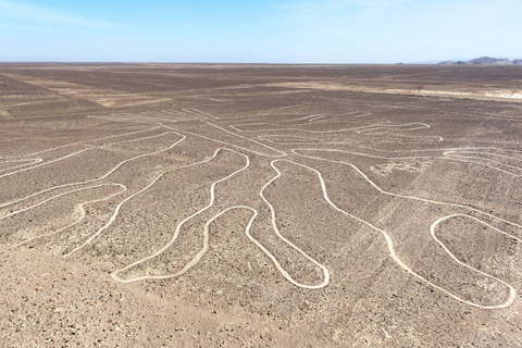 Nazca : visite des lignes de Nazca sur la routeNazca : visite des lignes de Nazca en cours de route