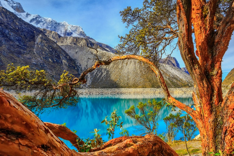 From Huaraz: Full-Day Excursion to Parón Lagoon From Huaraz: Full-Day Excursion to Parón Lagoon - Private - English