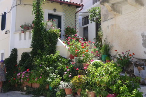 Agios Nikolaos: Excursión en Jeep con paradas y comida griega