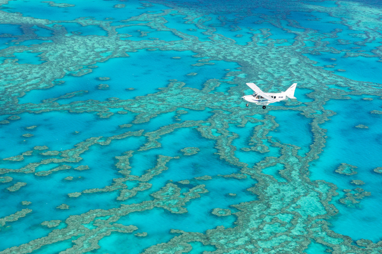 Whitsundays: Ocean Rafting Fly Raft Tour med snorklingNaturskön flygning och rundtur till norra Whitehaven Beach