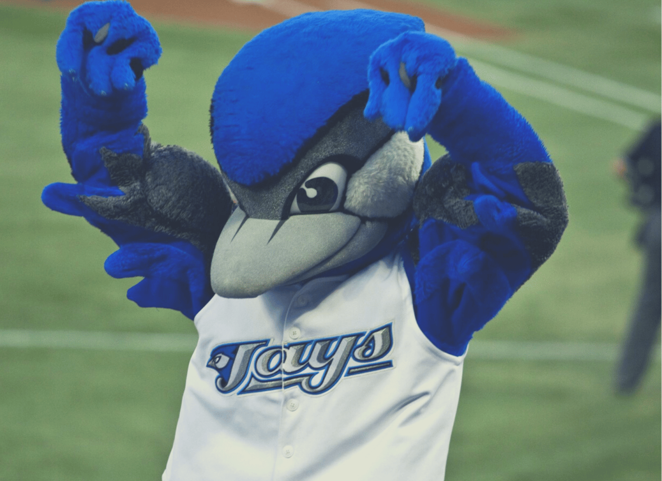 Toronto: Billet til baseballkamp med Toronto Blue Jays
