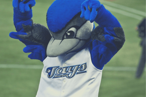 Toronto: Toronto Blue Jays Baseball Spiel TicketBudget Sitzplätze