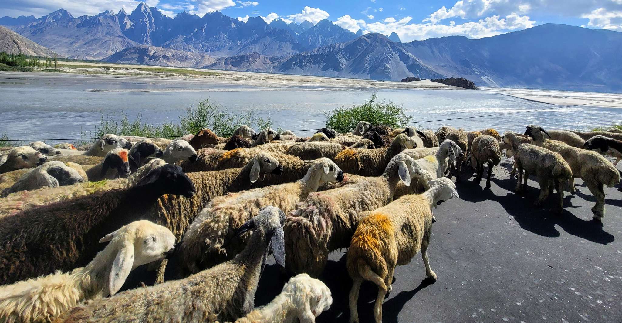 伊斯兰堡,10日全日登机全机,前往南马谷的 