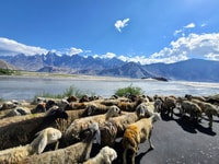 Islamabad, 10-Tages-Fullboard Trekking-Reise ins Nangma-Tal - Hizvo