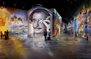 Amsterdam: Fabrique des Lumières Dalí & Gaudí Ausstellung