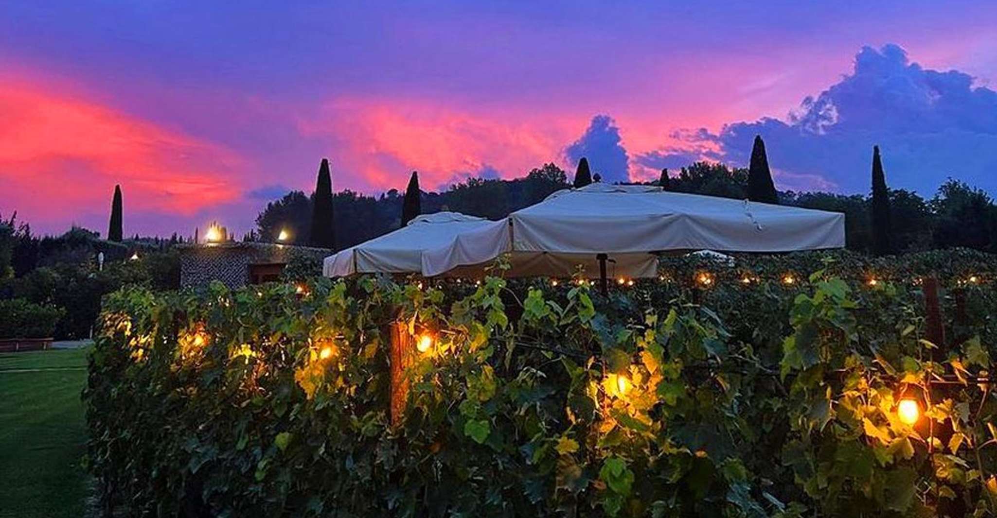 San Gimignano, Cena romantica della vigna - Hizvo