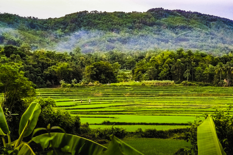 Civilisation perdue - Visite à vélo des temples de My Son à Hoi An