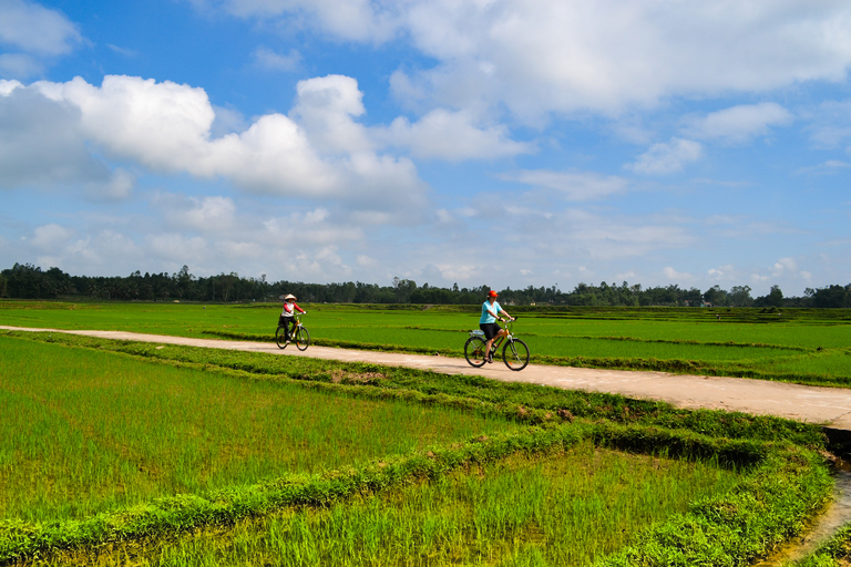 Lost Civilization - My Son Temples Bike Tour in Hoi An