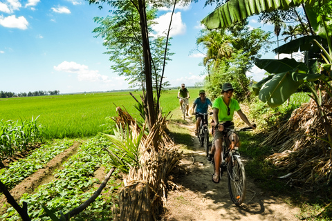 Verlorene Zivilisation - My Son Tempel Fahrradtour in Hoi An