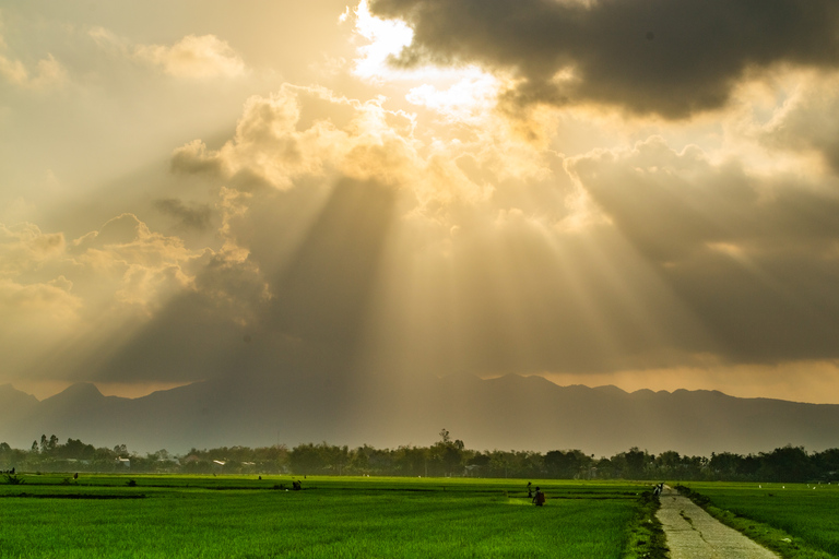 Lost Civilization - My Son Temples Bike Tour in Hoi An