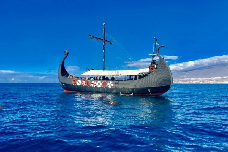 Tenerife: boottocht van 2 uur op Vikingschip