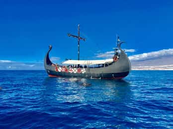 Los Cristianos: crociera Viking per osservare balene e delfini