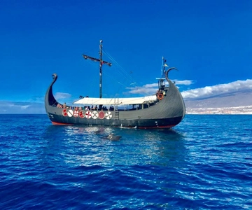 Los Cristianos: Vikingekrydstogt med hval- og delfinsafari