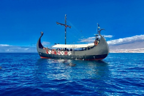 Tenerife: Vikingboottocht met dolfijnen en walvissen spotten