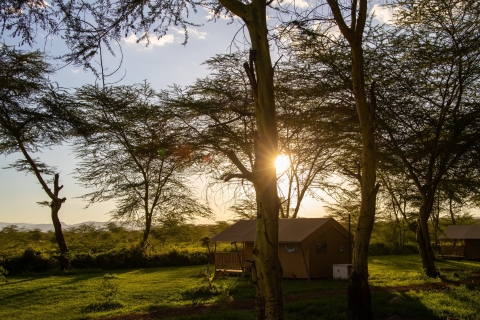 Vanuit Arusha: 5-daagse klassieke safaritocht door valleien en hooglanden
