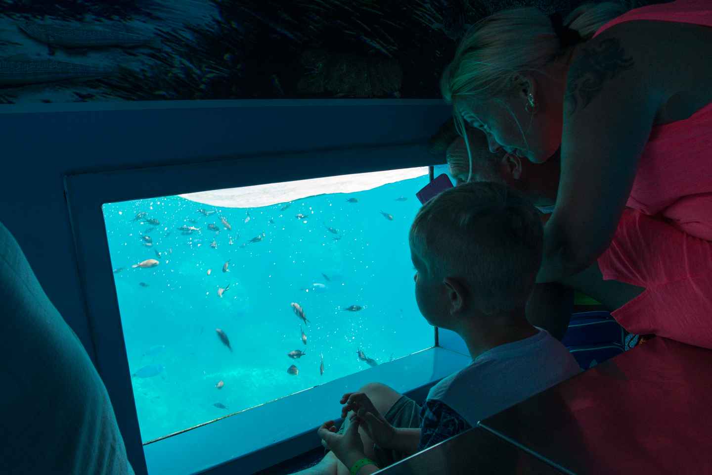 Mahon: Harbor Boat Tour with Underwater Viewing & Commentary