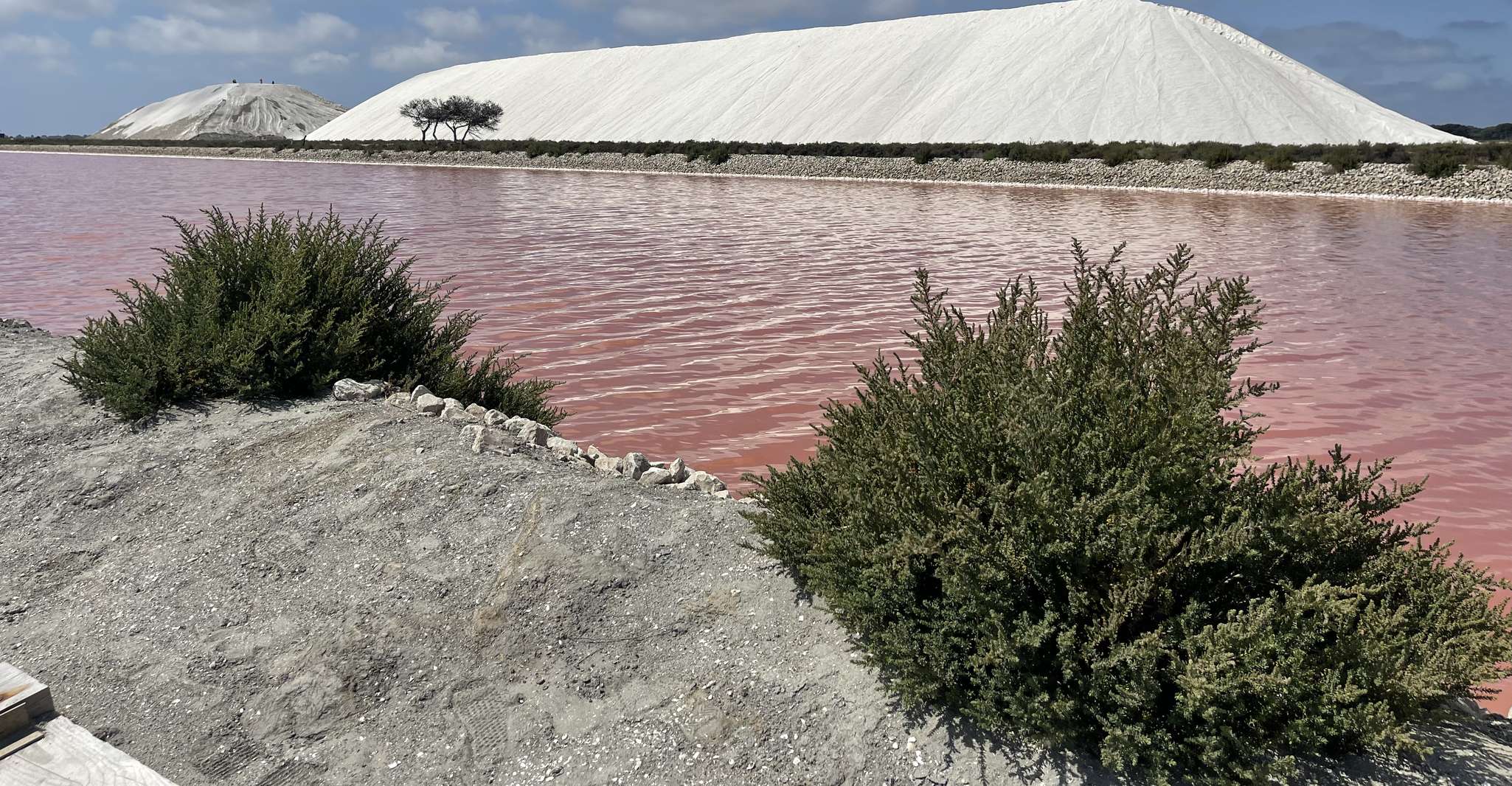 Montpellier'den Camargue ve tuz bataklıklarını ziyaret edin - Hizvo