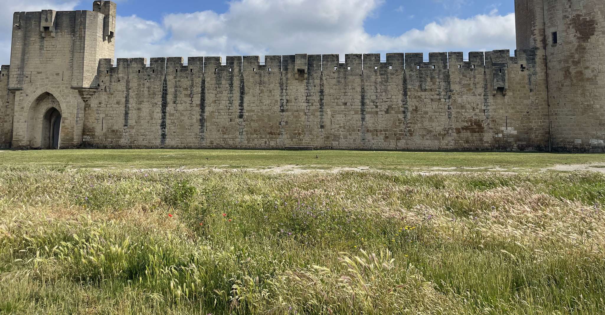 Montpellier'den Camargue ve tuz bataklıklarını ziyaret edin - Hizvo