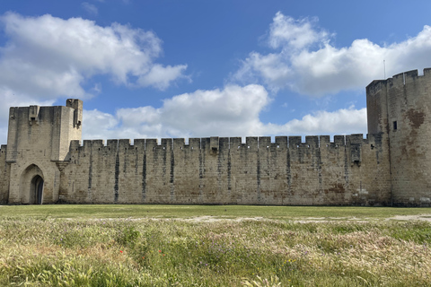 Von Montpellier aus: Camargue und Salzwiesen Geführte Tour