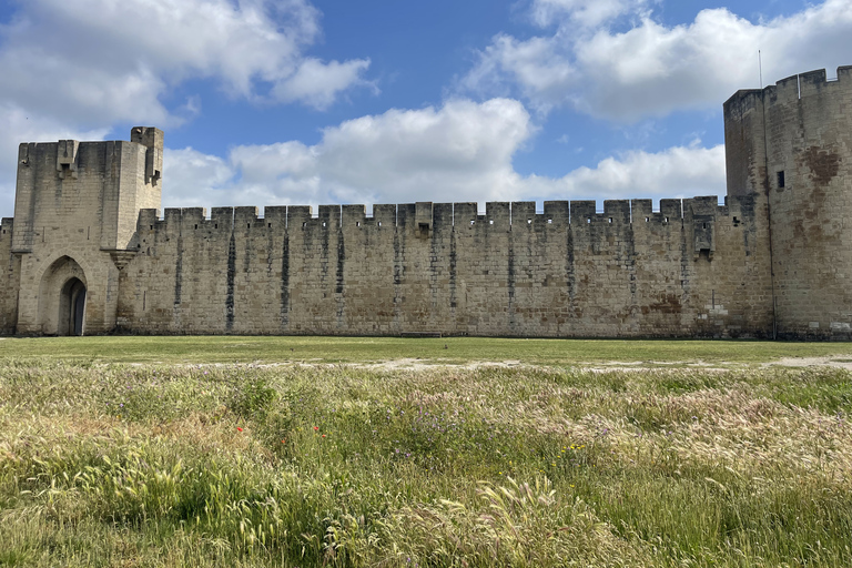 Von Montpellier aus: Camargue und Salzwiesen Geführte Tour