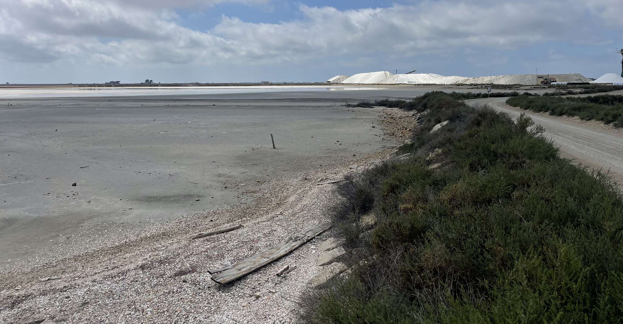 Camargue and Espiguette Lighthouse from Montpellier yakınlarında yapılacak şeyler - Hizvo