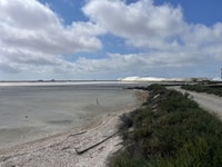 Visita el faro Camargue y Espiguette desde Montpellier - Hizvo
