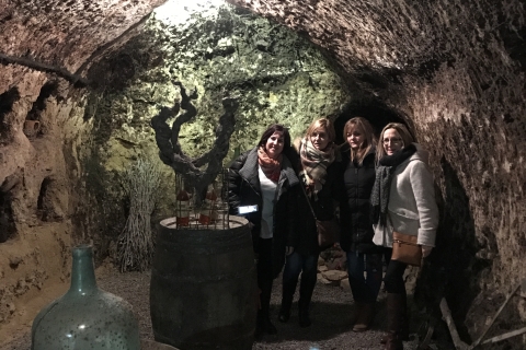 Premium Wine Tour of Rioja with Gourmet Lunch (From Bilbao) Tour for 3-4 People