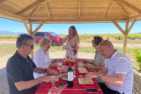 Von Bilbao aus: Tagesausflug zu zwei Rioja-Weinkellereien mit Picknick-Mittagessen