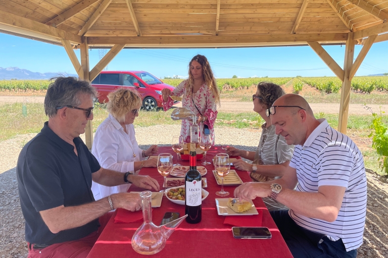 From Bilbao: Two Rioja Wineries Day Trip with Picnic Lunch Group Tour for 1 Person