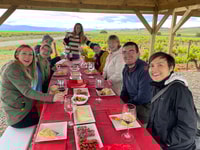 Da Bilbao, due gite di Rioja Wineries Day con pranzo al sacco - Housity