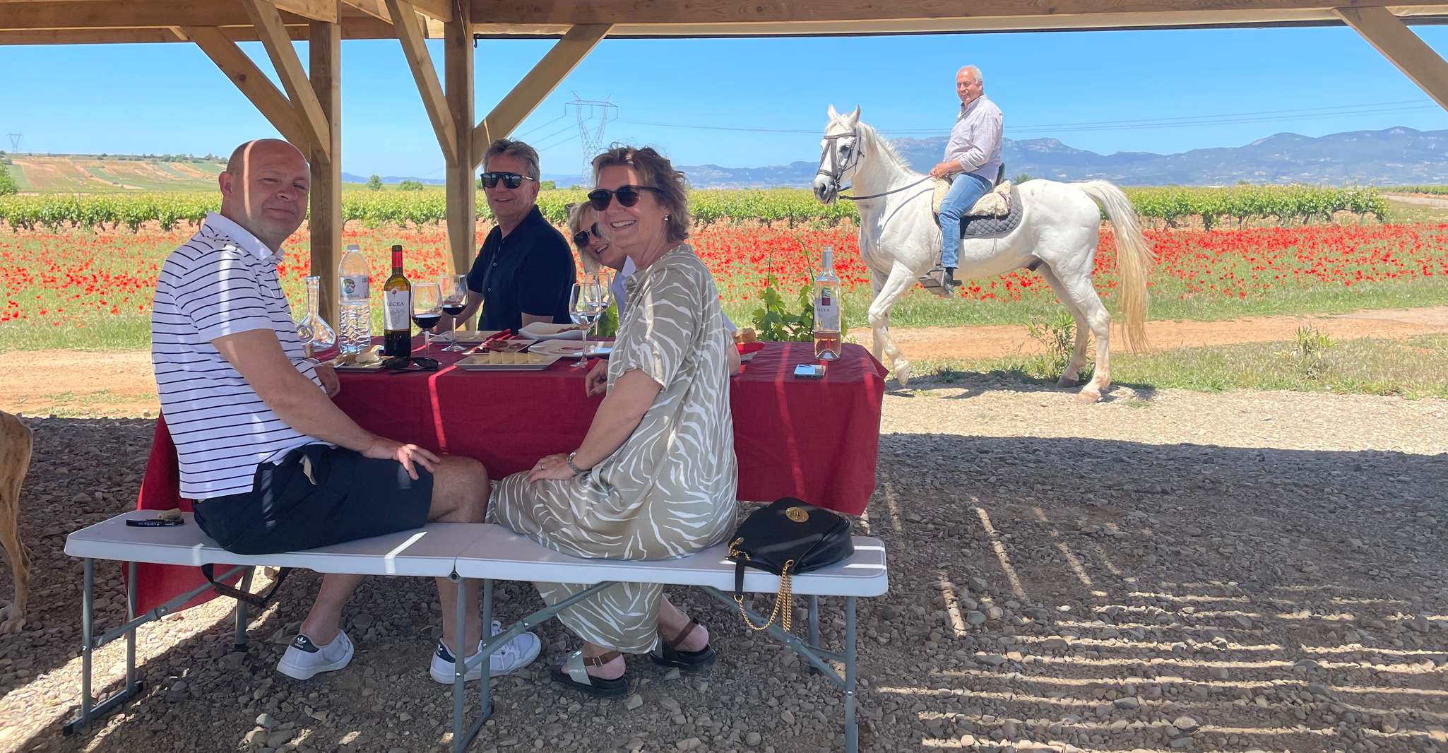 From Bilbao, Two Rioja Wineries Day Trip with Picnic Lunch - Housity