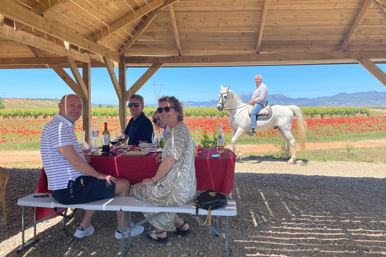 Desde Bilbao: Excursión de un día a dos bodegas de Rioja con comida de picnic